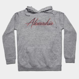 Alexandria City In USA Hoodie